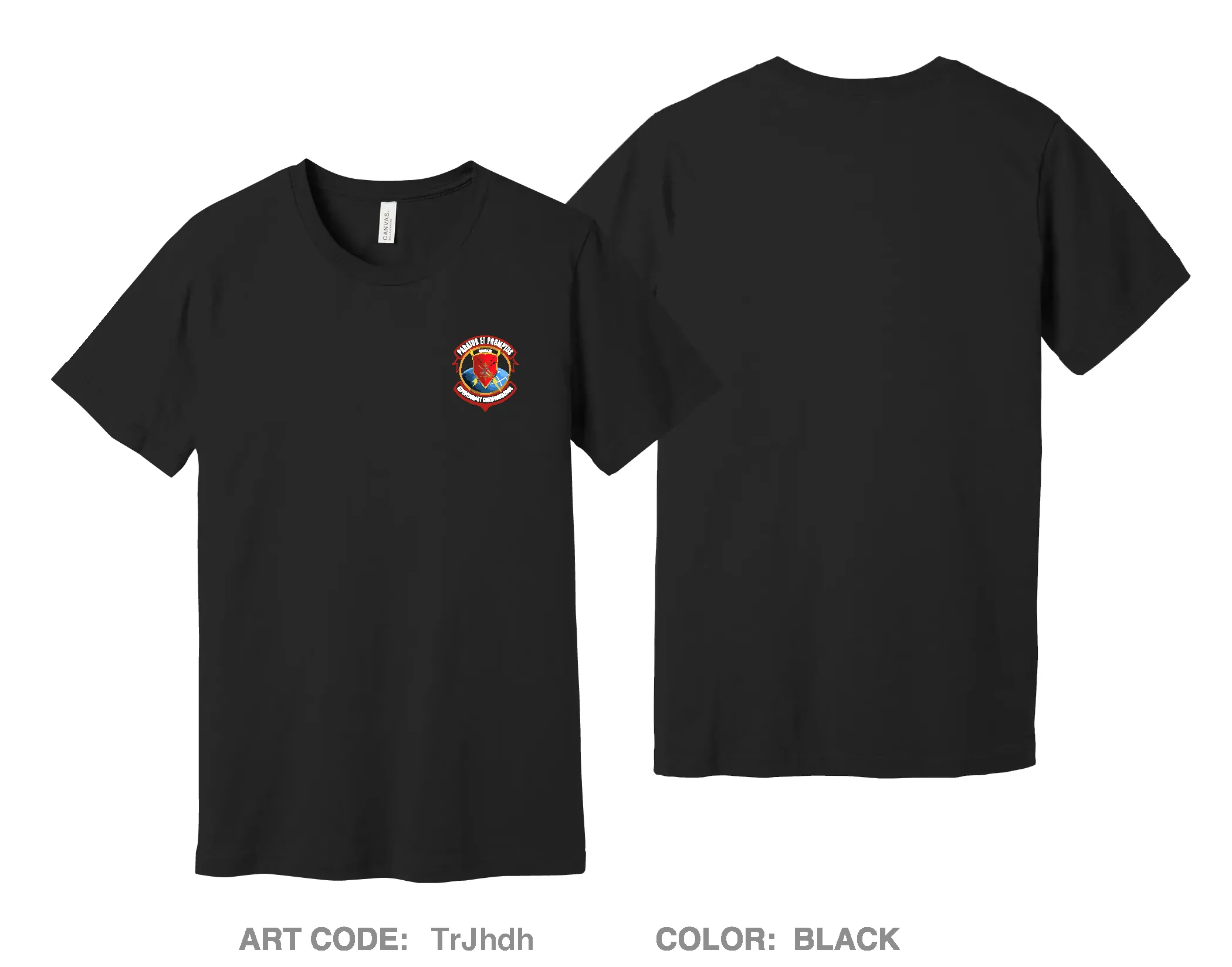 ECS Comfort Unisex Cotton SS Tee - TrJhdh