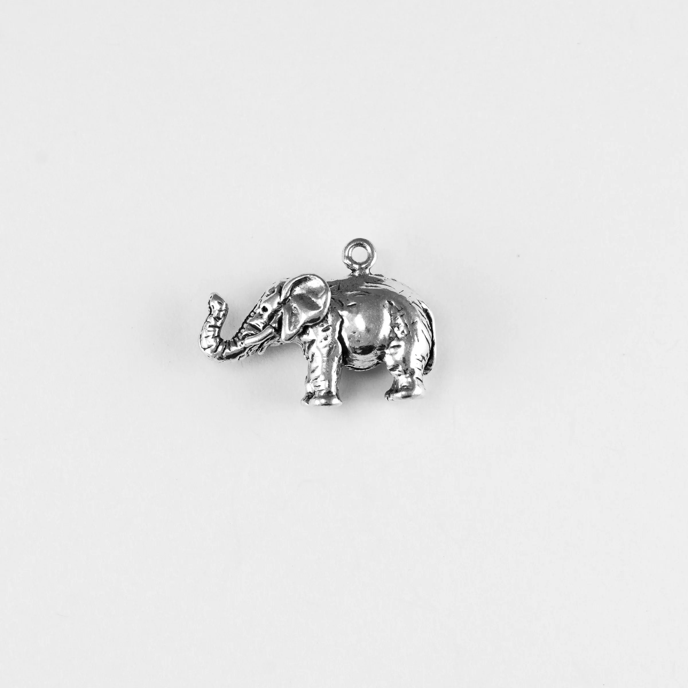 Elephant, Lg
