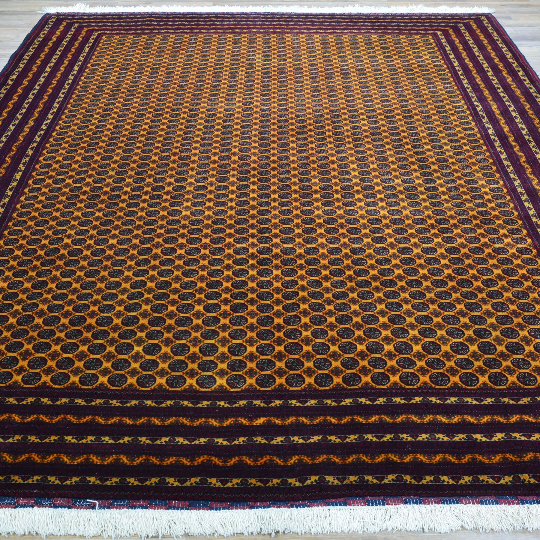 Fine Hand-Knotted Turkmen Tribal Traditional Wool Rug (Size 6.9 X 9.8) Cwral-9615
