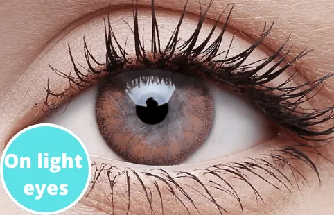 Foamy Beige Coloured Contact Lenses