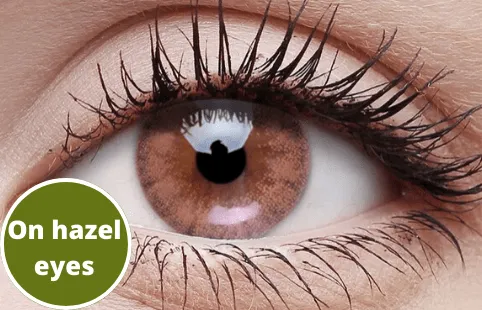 Foamy Beige Coloured Contact Lenses