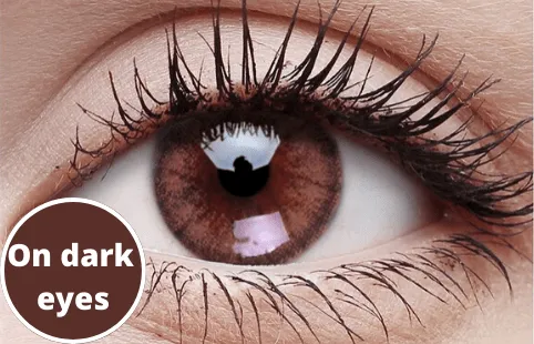Foamy Beige Coloured Contact Lenses