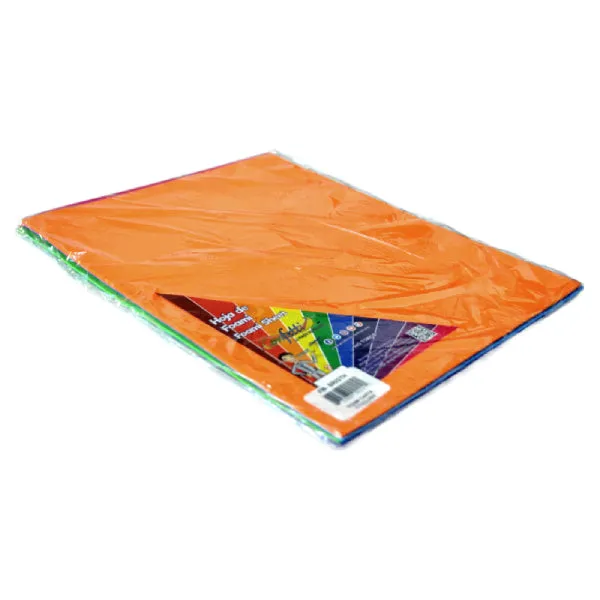FOAMY CARTA 5 PZ COLORES BRIGHT NAEN MNK