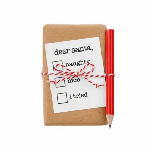 Funny Holiday Soap