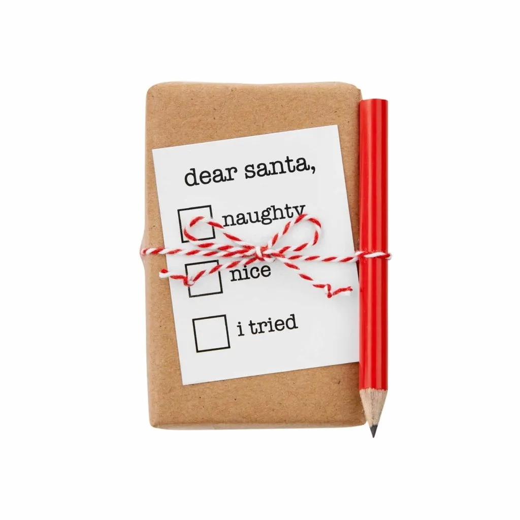 Funny Holiday Soap