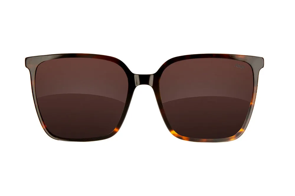 Fuse Melody Sunglasses | Gloss Tortoise