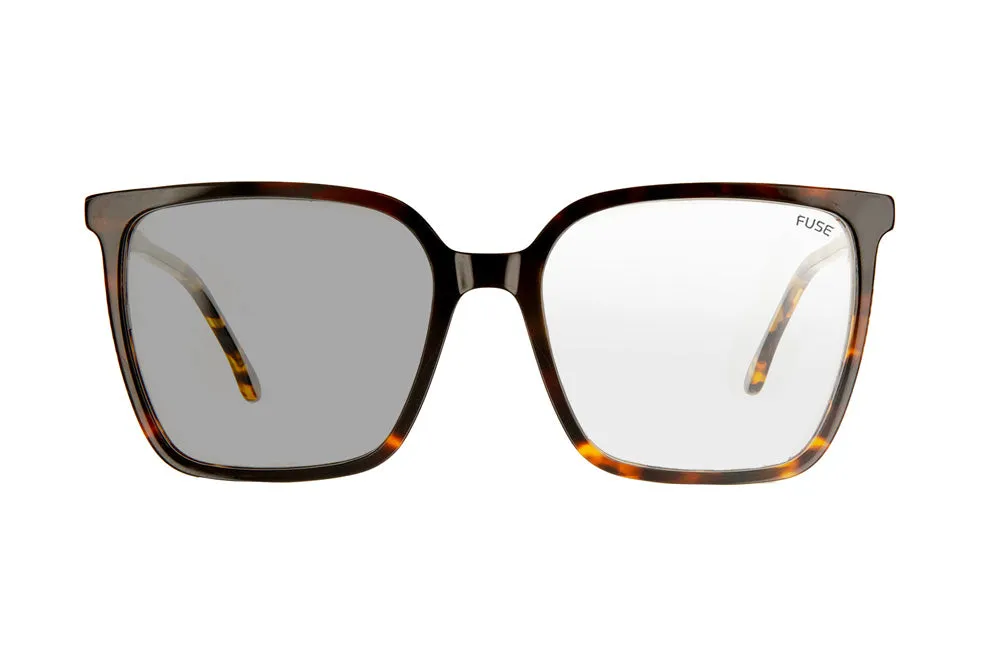 Fuse Melody Sunglasses | Gloss Tortoise