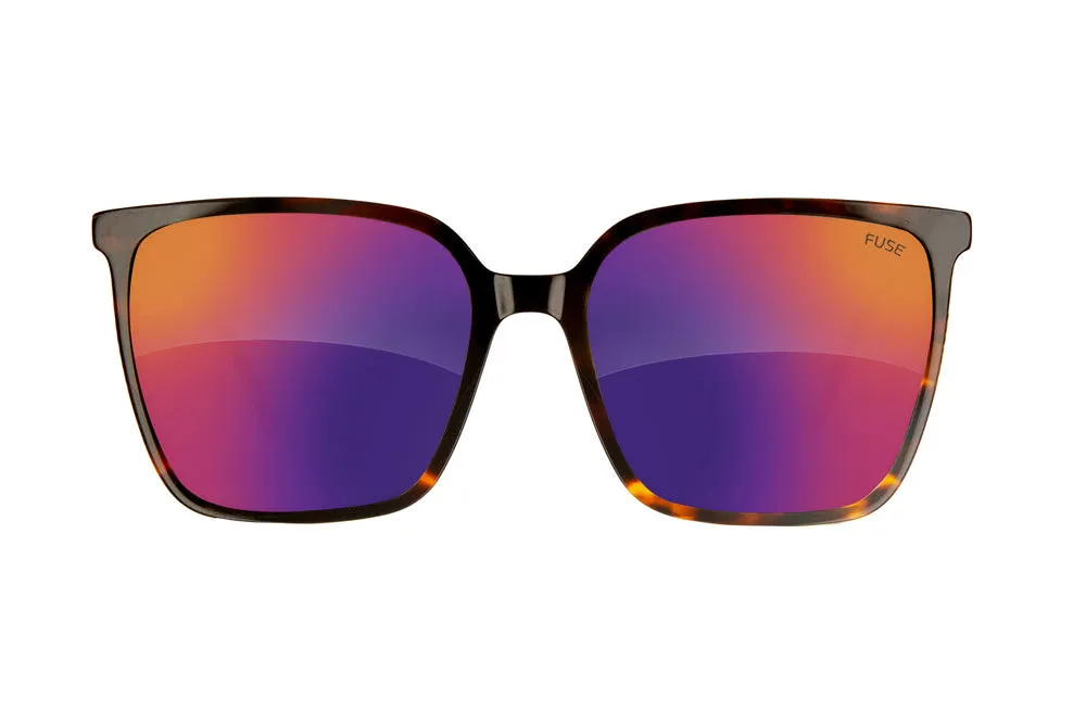 Fuse Melody Sunglasses | Gloss Tortoise