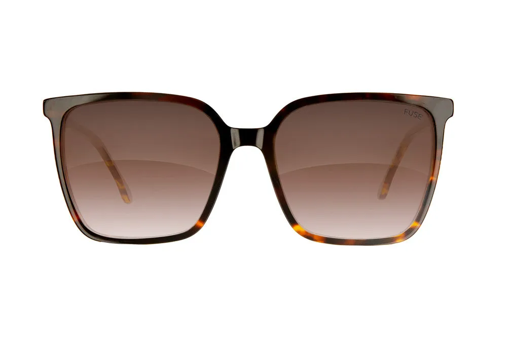 Fuse Melody Sunglasses | Gloss Tortoise