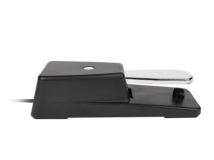 GFS-25 |Boston sustain pedal