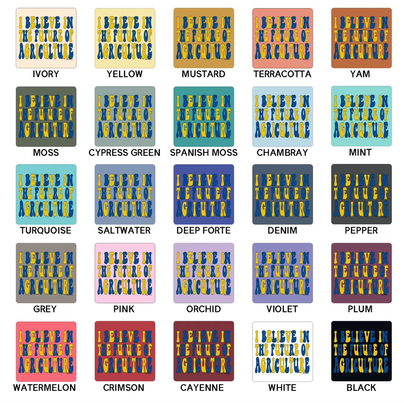 Groovy I Believe In The Future Of Ag FFA ComfortWash/ComfortColor T-Shirt (S-4XL) - Multiple Colors!