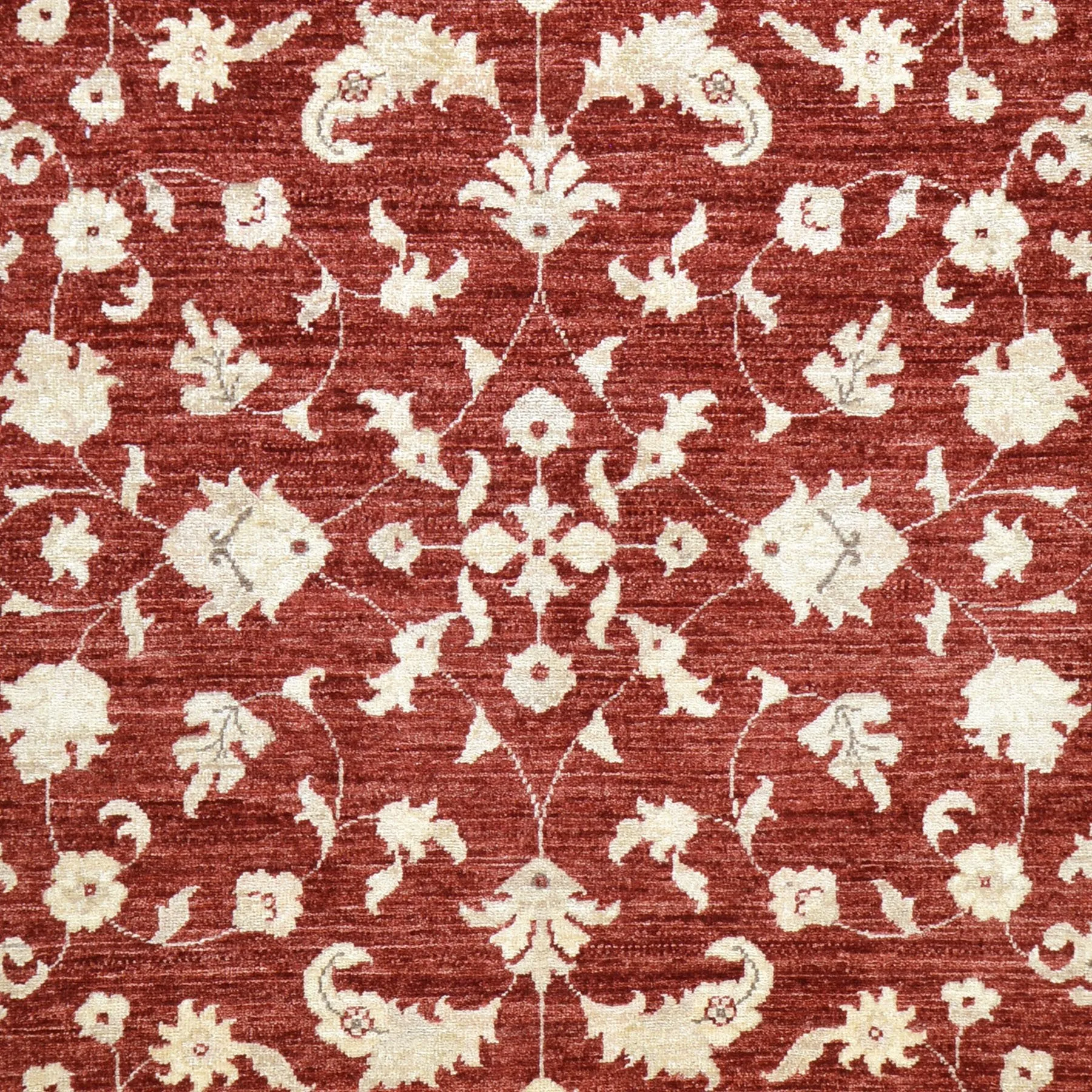 Hand-Knotted Tribal Peshawar Wool Traditional Design Rug (Size 6.2 X 9.0) Brral-3975