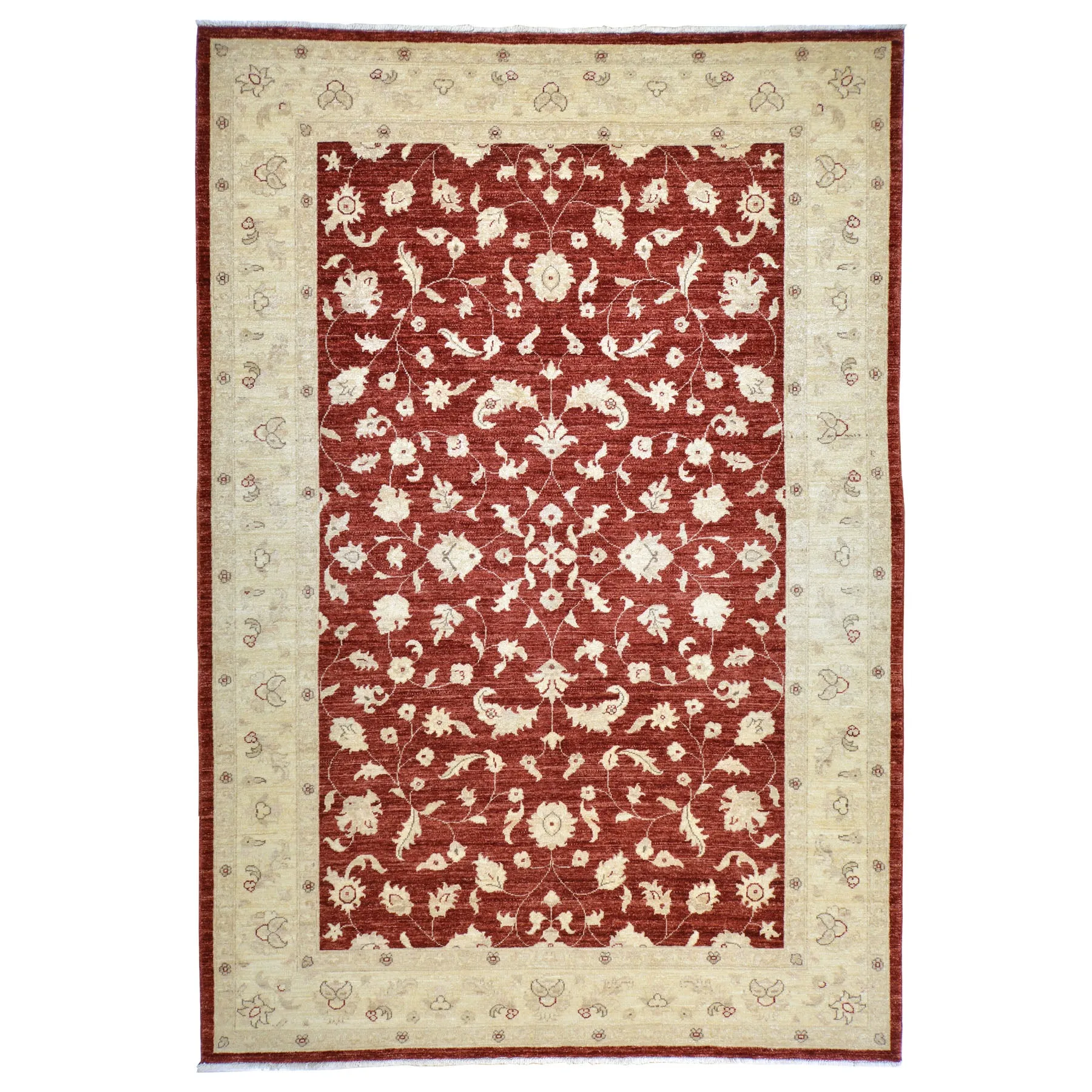 Hand-Knotted Tribal Peshawar Wool Traditional Design Rug (Size 6.2 X 9.0) Brral-3975