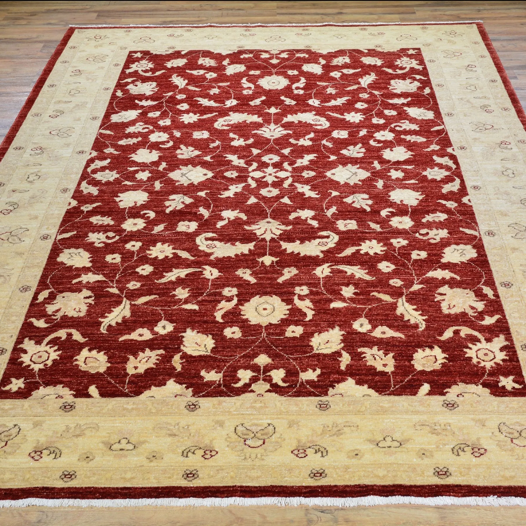Hand-Knotted Tribal Peshawar Wool Traditional Design Rug (Size 6.2 X 9.0) Brral-3975