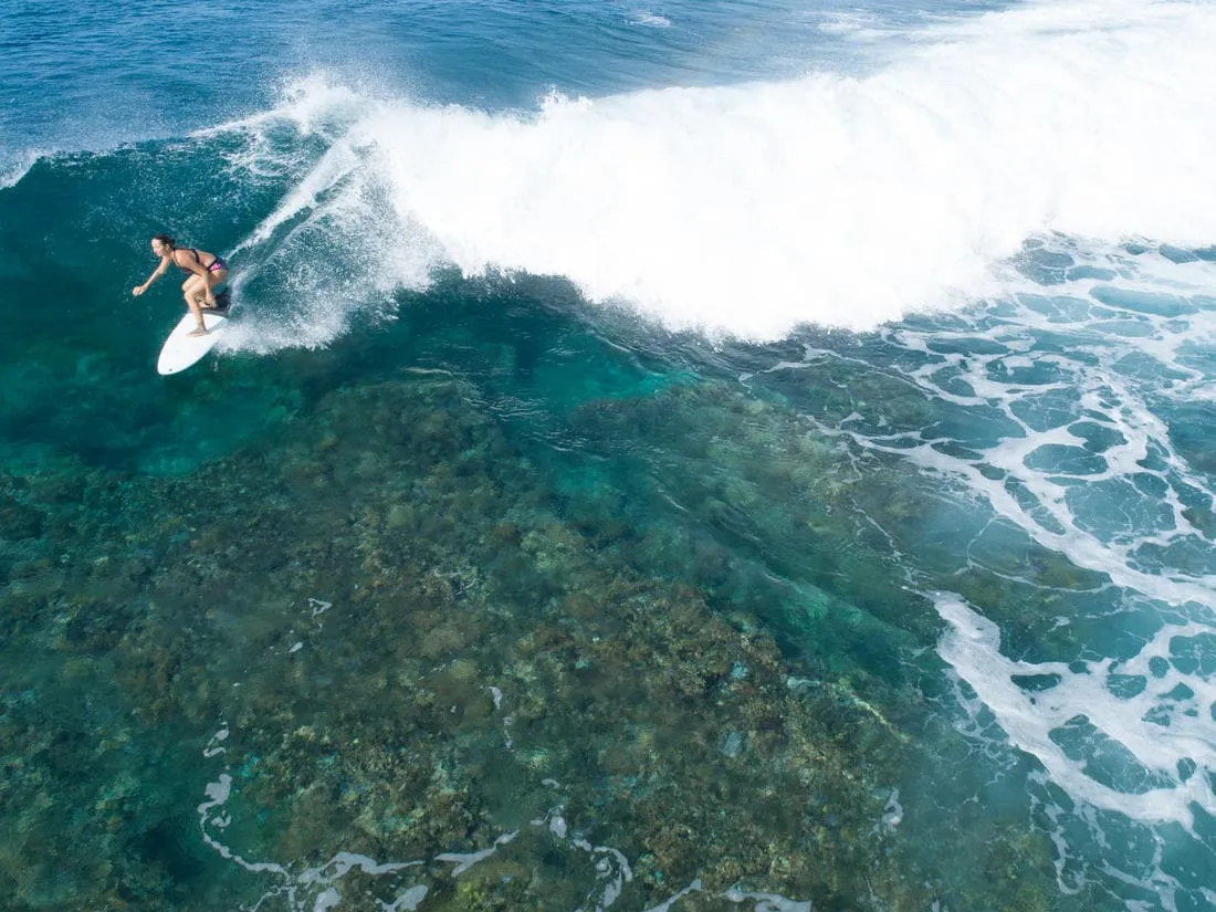 Haut de maillot de bain brassière de surf femme dos réglable ISA FOAMY