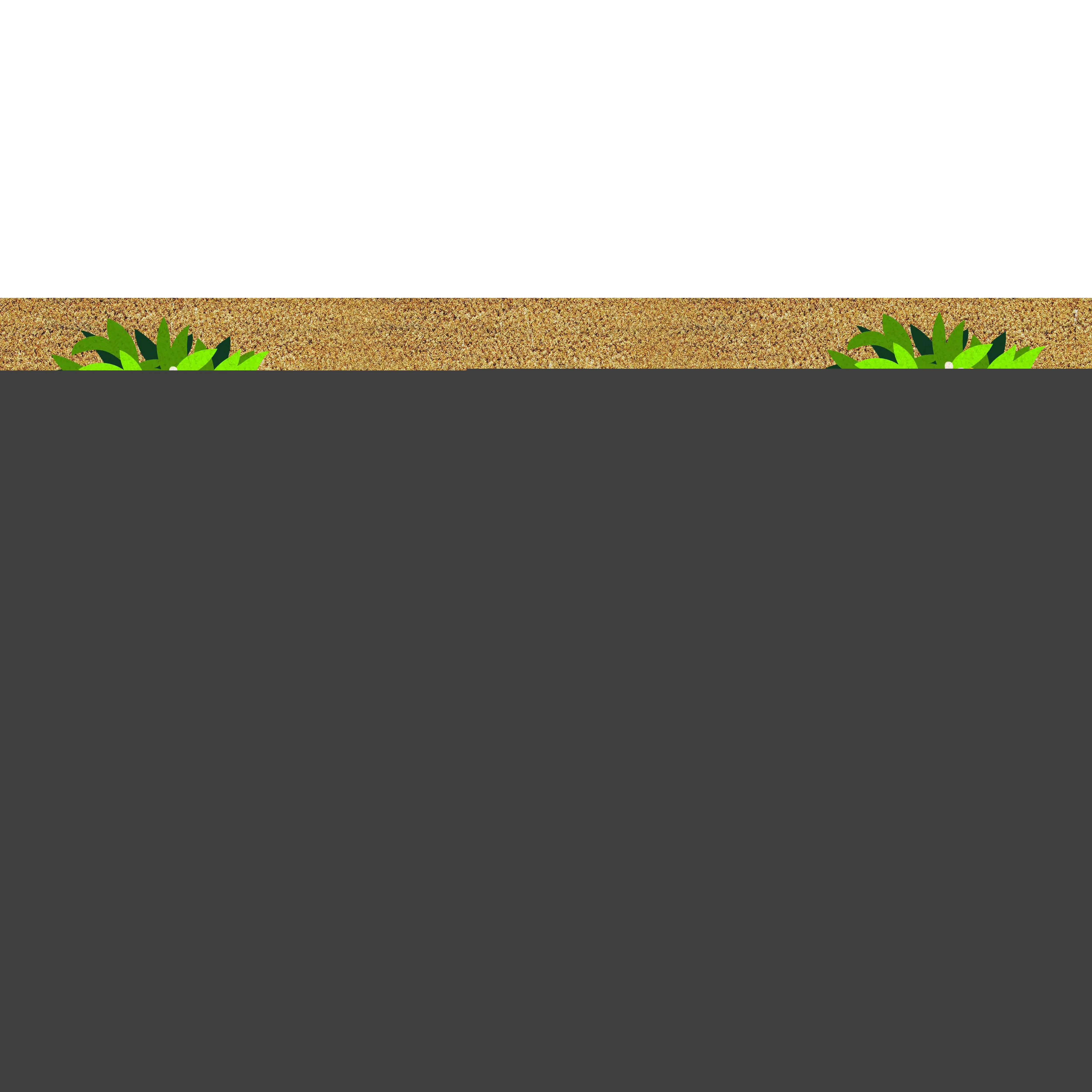 Hello Topiary Flocked Coir Sassafras Switch Mat,2rmc1356s