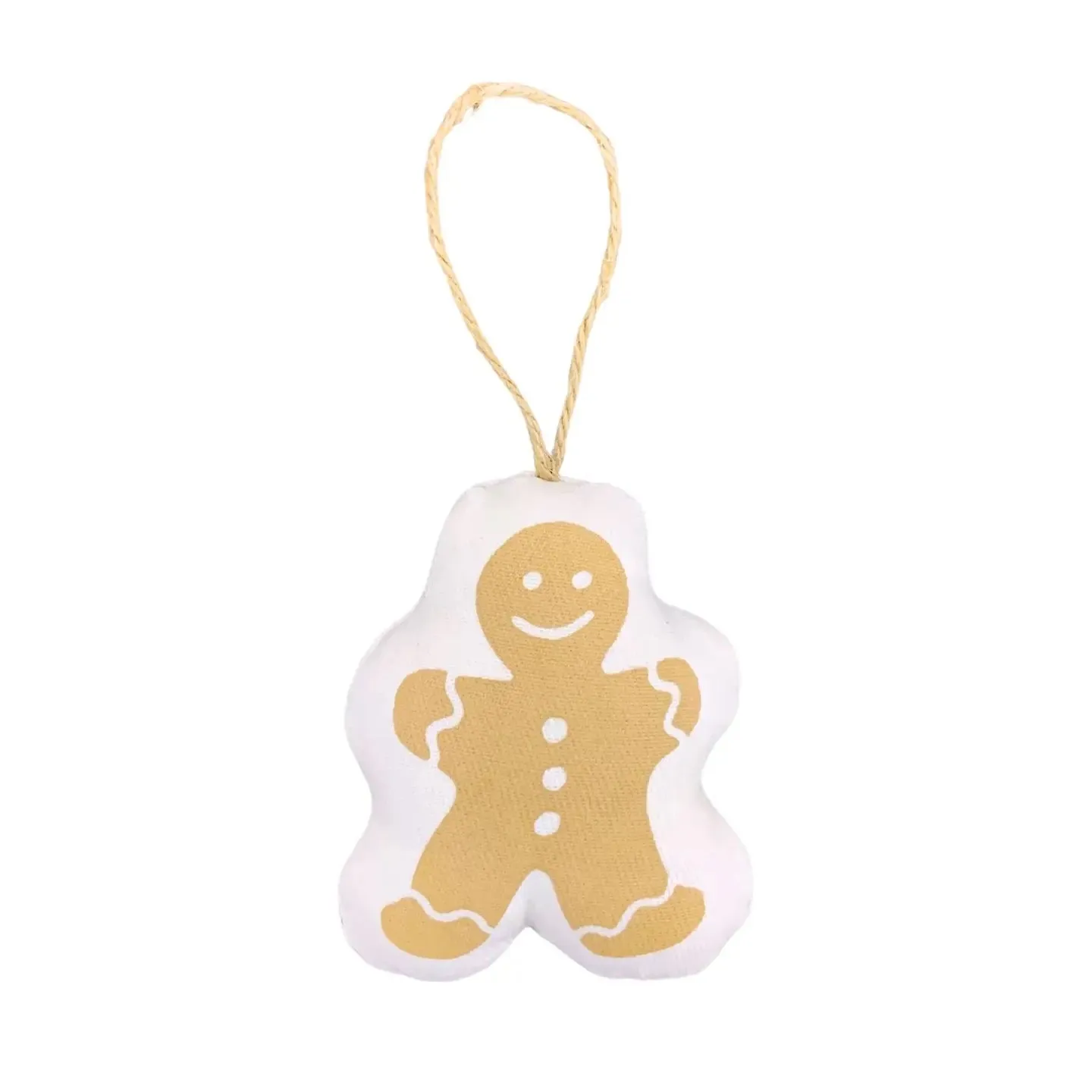 Holiday Canvas Ornament