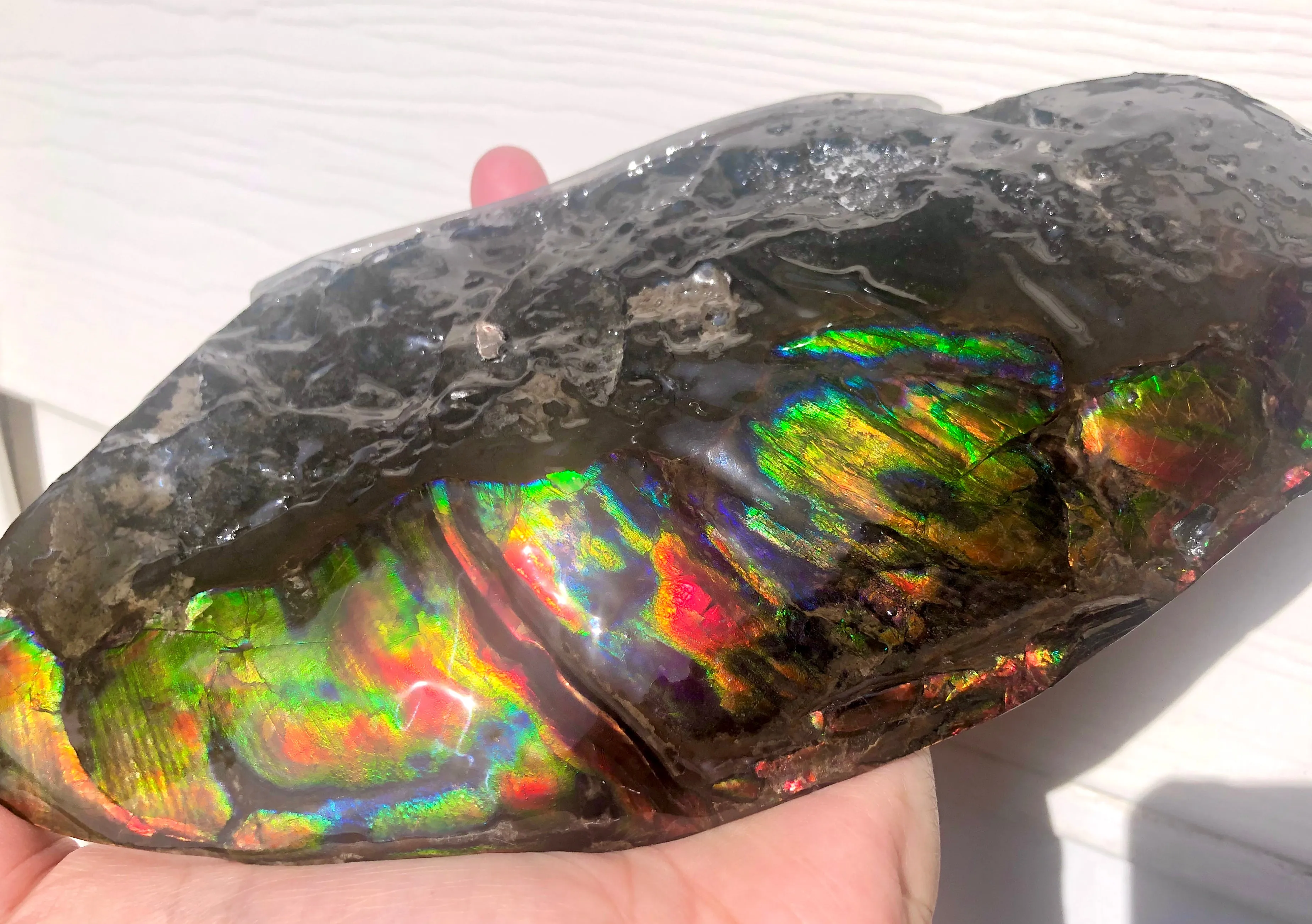 HUGE Collector Stone Double Sided Specimen - CS-202  ***FREE SHIPPING****アンモライト　コレクターストーン