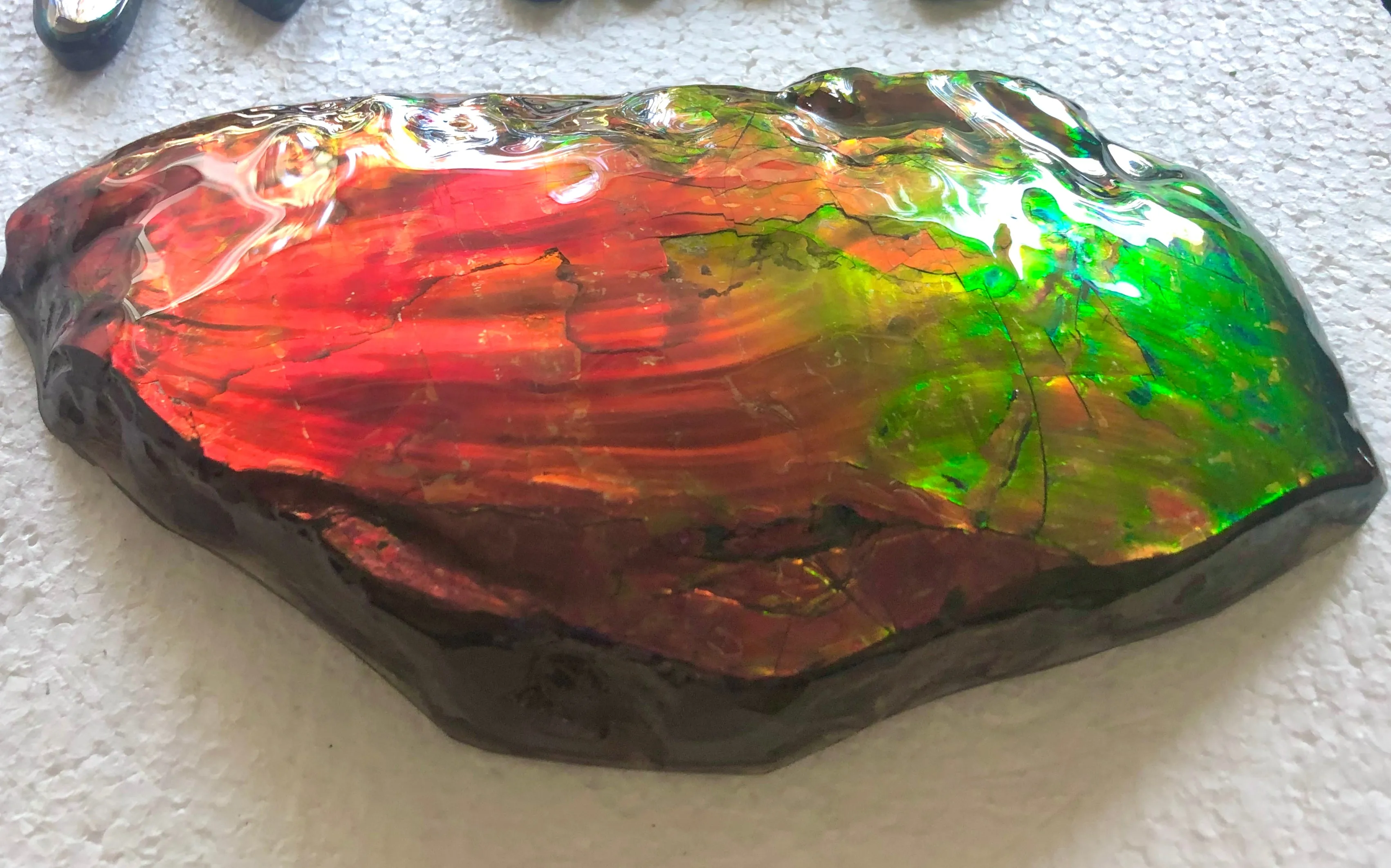 HUGE Collector Stone Specimen - CS-201  ***FREE SHIPPING****アンモライト　コレクターストーン