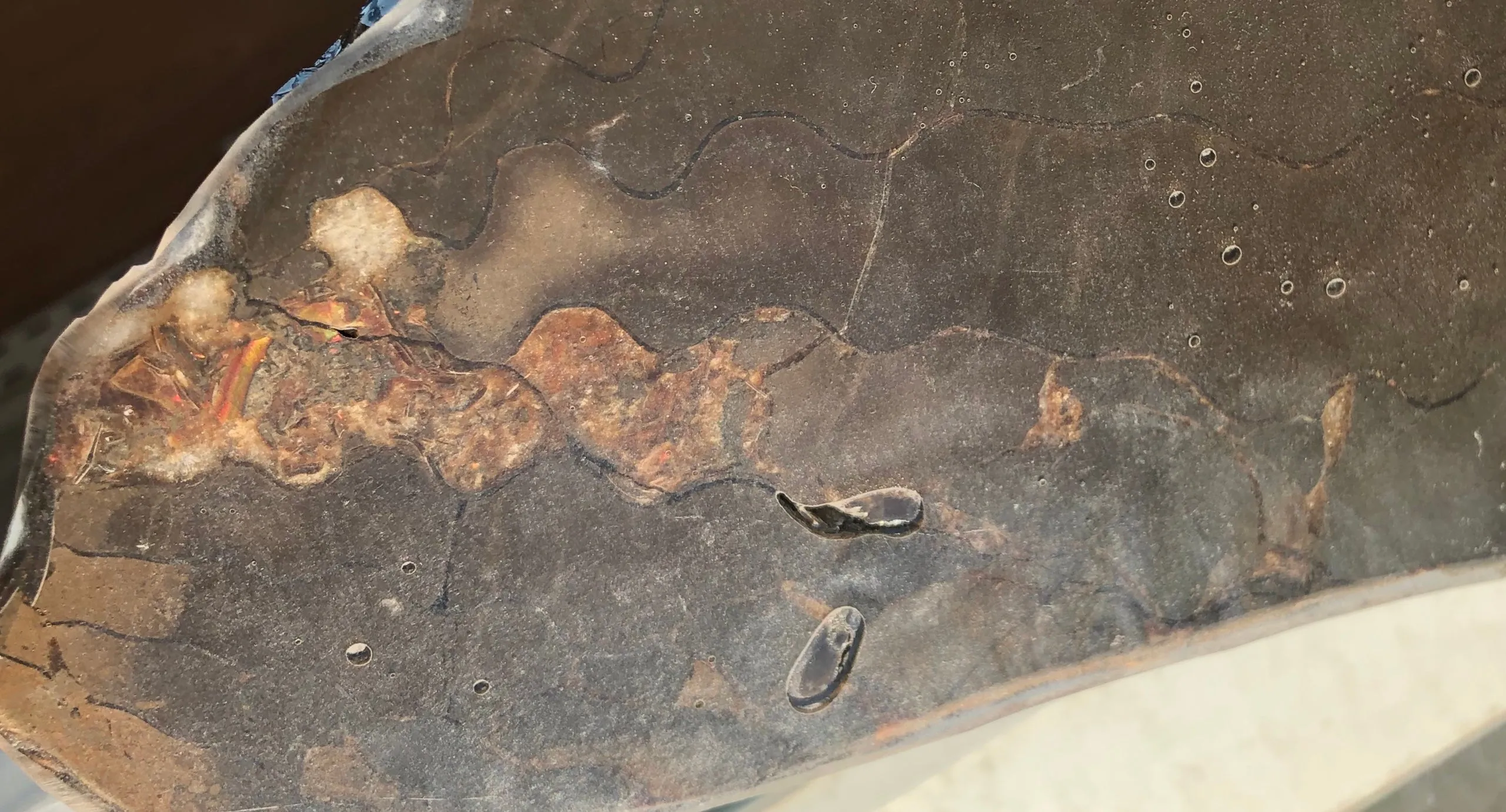 HUGE Collector Stone Specimen - CS-201  ***FREE SHIPPING****アンモライト　コレクターストーン