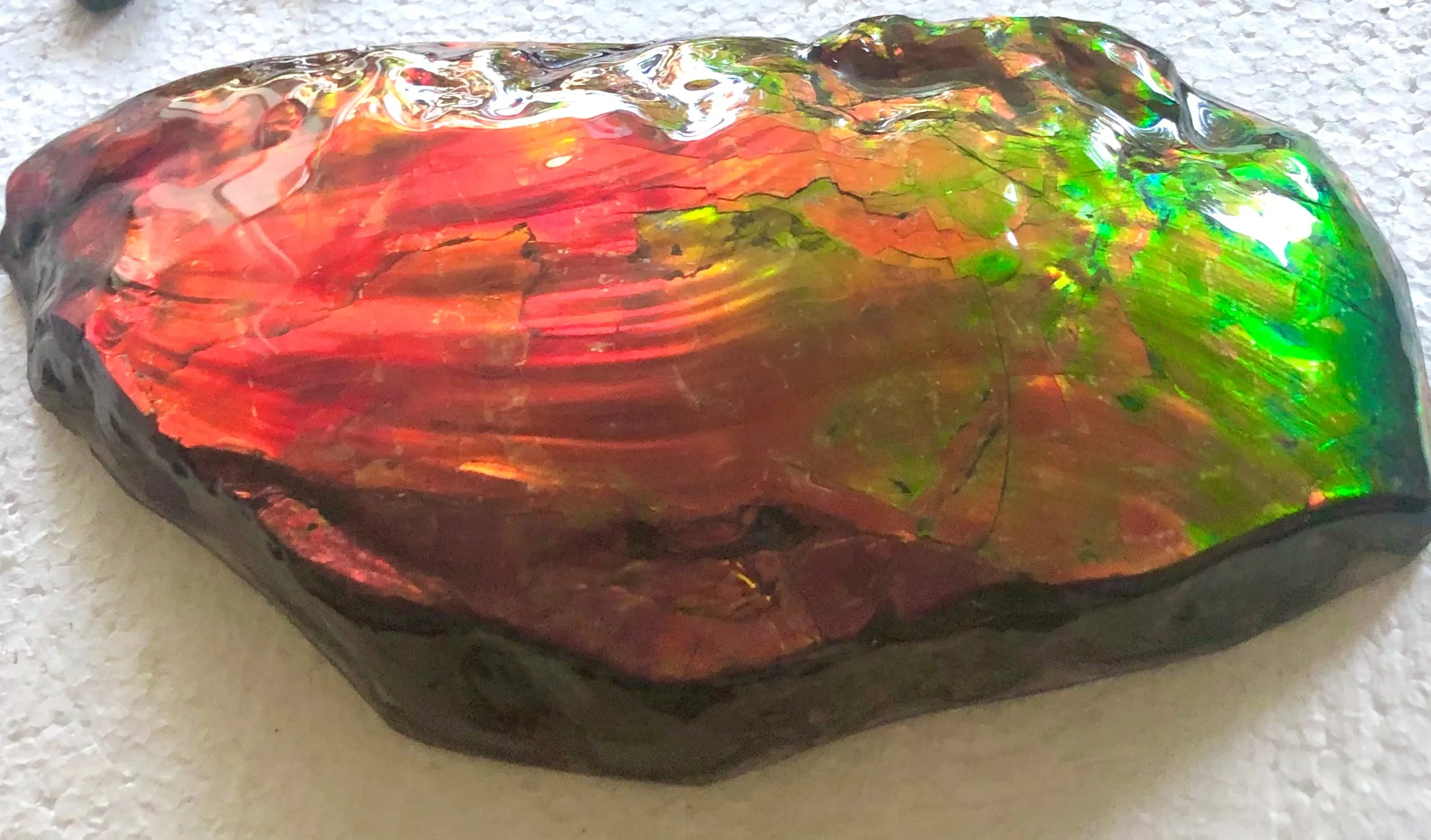 HUGE Collector Stone Specimen - CS-201  ***FREE SHIPPING****アンモライト　コレクターストーン
