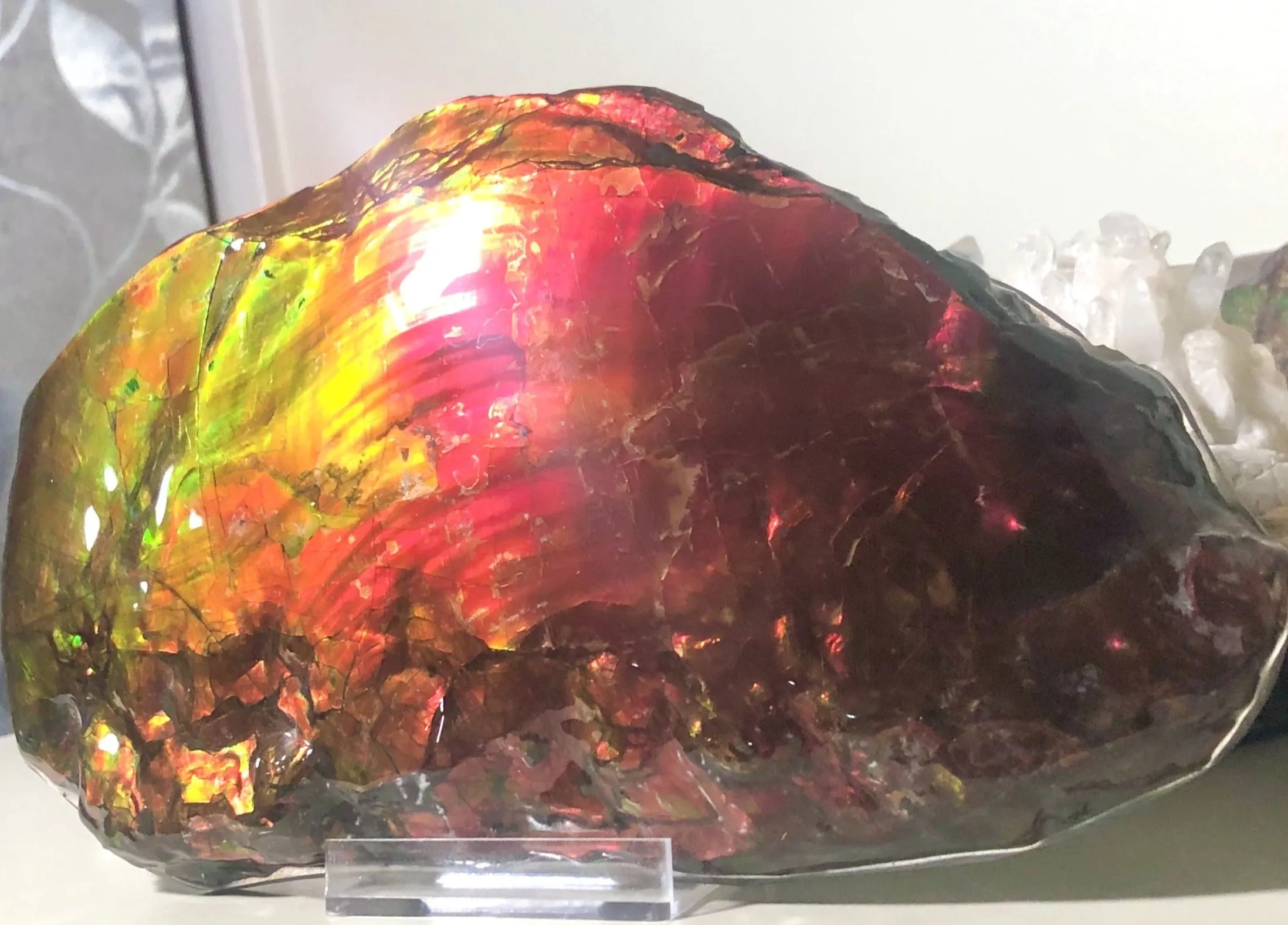 HUGE Collector Stone Specimen - CS-201  ***FREE SHIPPING****アンモライト　コレクターストーン