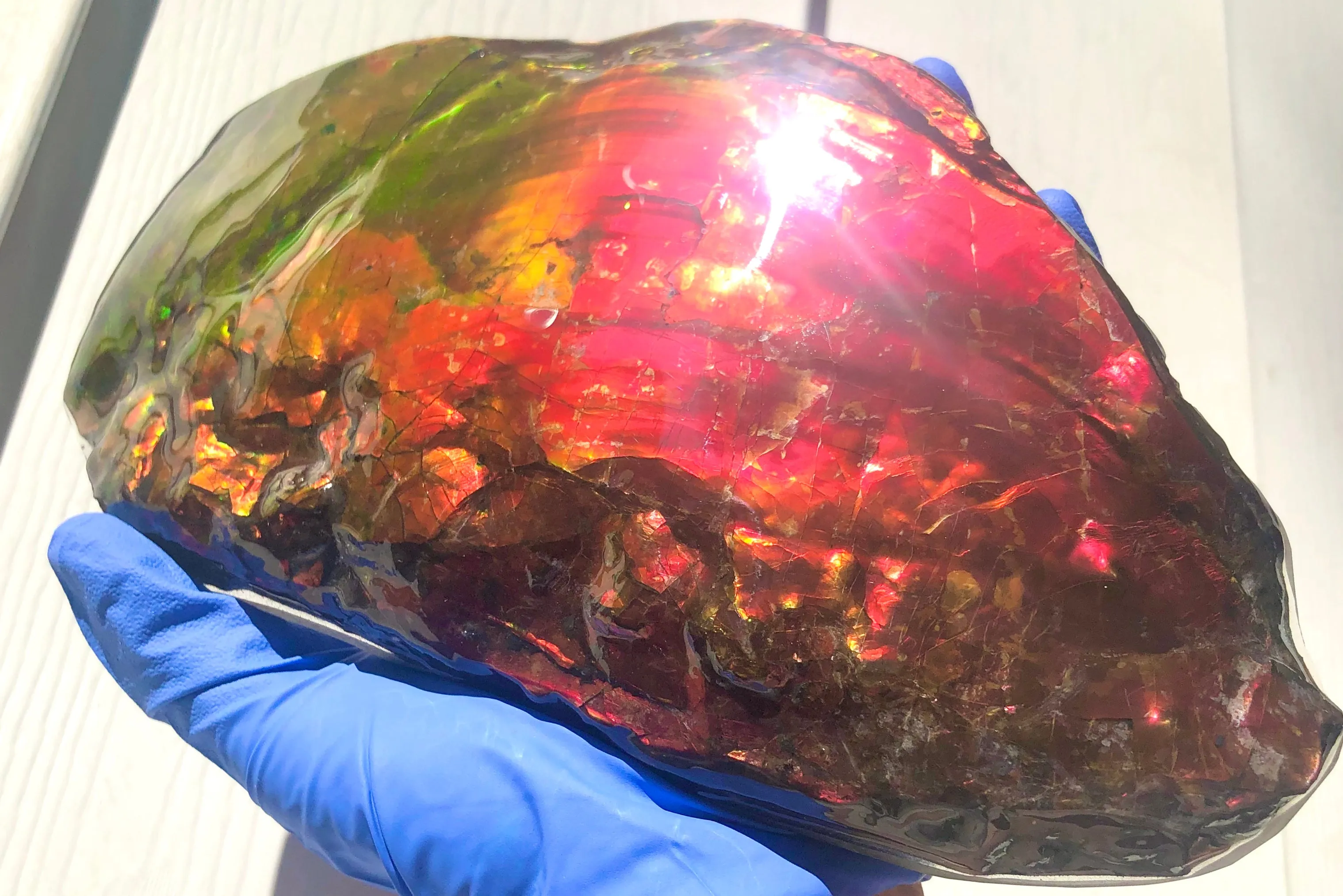 HUGE Collector Stone Specimen - CS-201  ***FREE SHIPPING****アンモライト　コレクターストーン