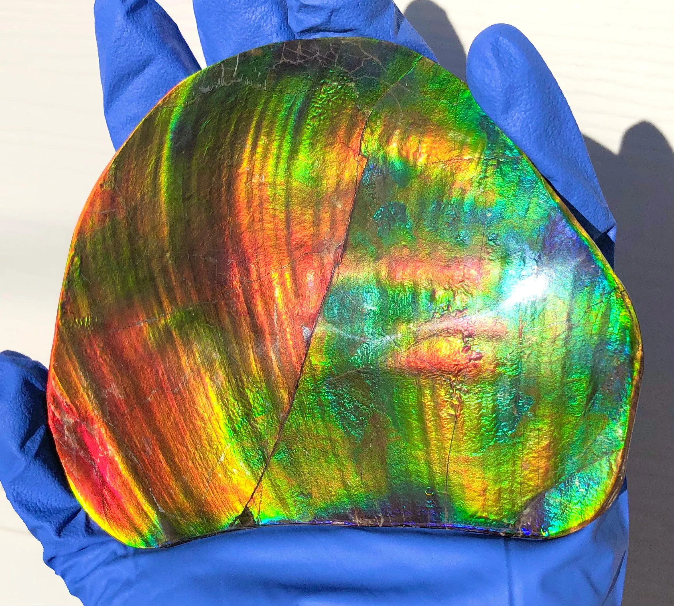 IMP-86 Super RARE HUGE Natural Polished Ammolite Double-Sided Rainbow Beauty !PREMIUM  巨大両面！ナチュラル レアルース アンモライト 斑彩石 FREE SHIPPING