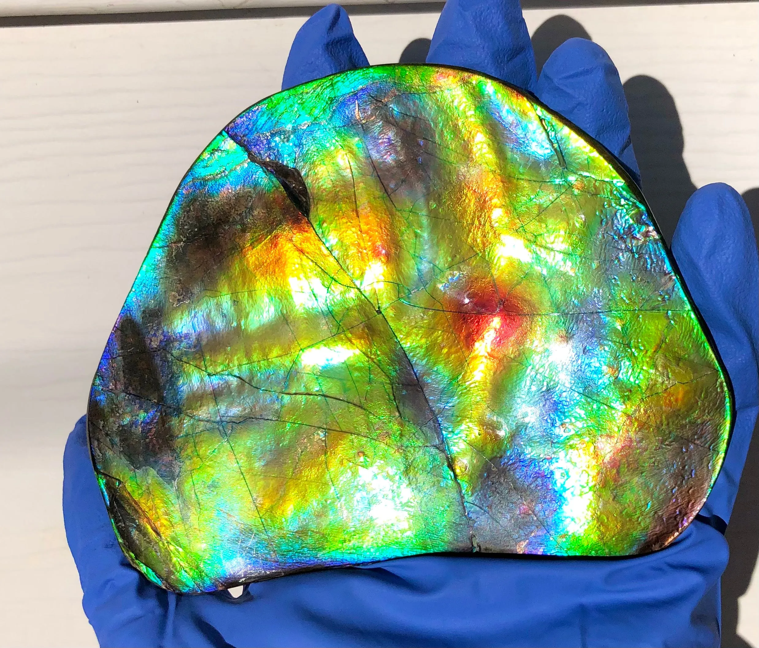 IMP-86 Super RARE HUGE Natural Polished Ammolite Double-Sided Rainbow Beauty !PREMIUM  巨大両面！ナチュラル レアルース アンモライト 斑彩石 FREE SHIPPING