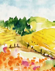 Individual Notecards - Mixed