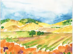 Individual Notecards - Mixed