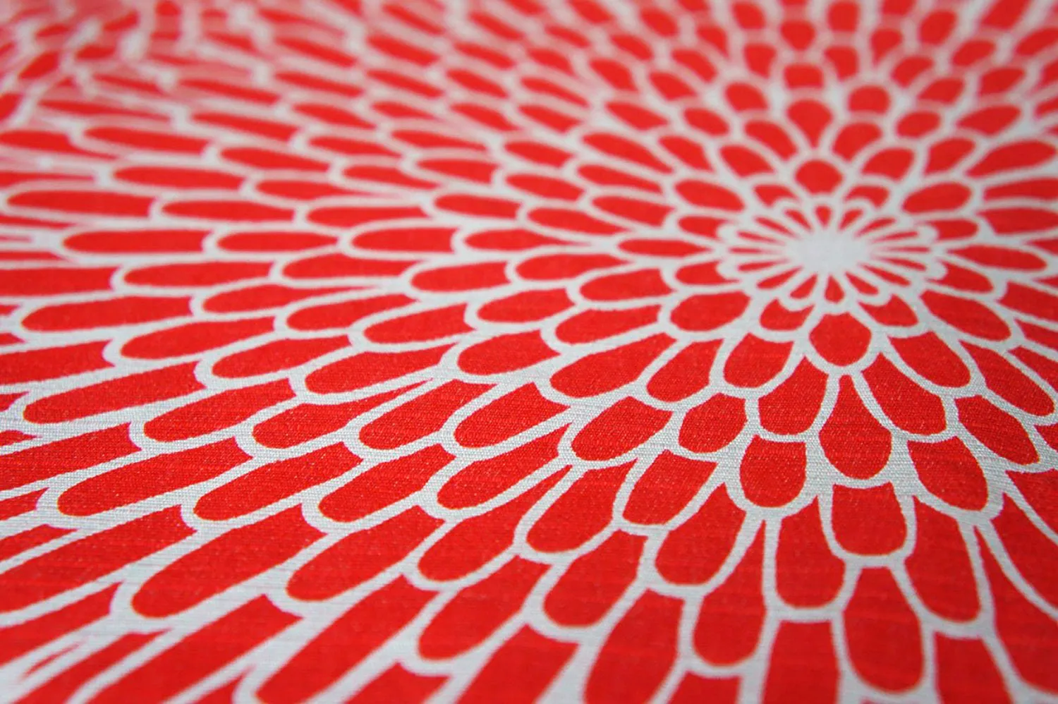 Isamonyou -  Double-Sided Dyeing Kiku (Chrysanthemum) Red/Light Blue - Furoshiki (Japanese Wrapping Cloth) 48 x 48 cm
