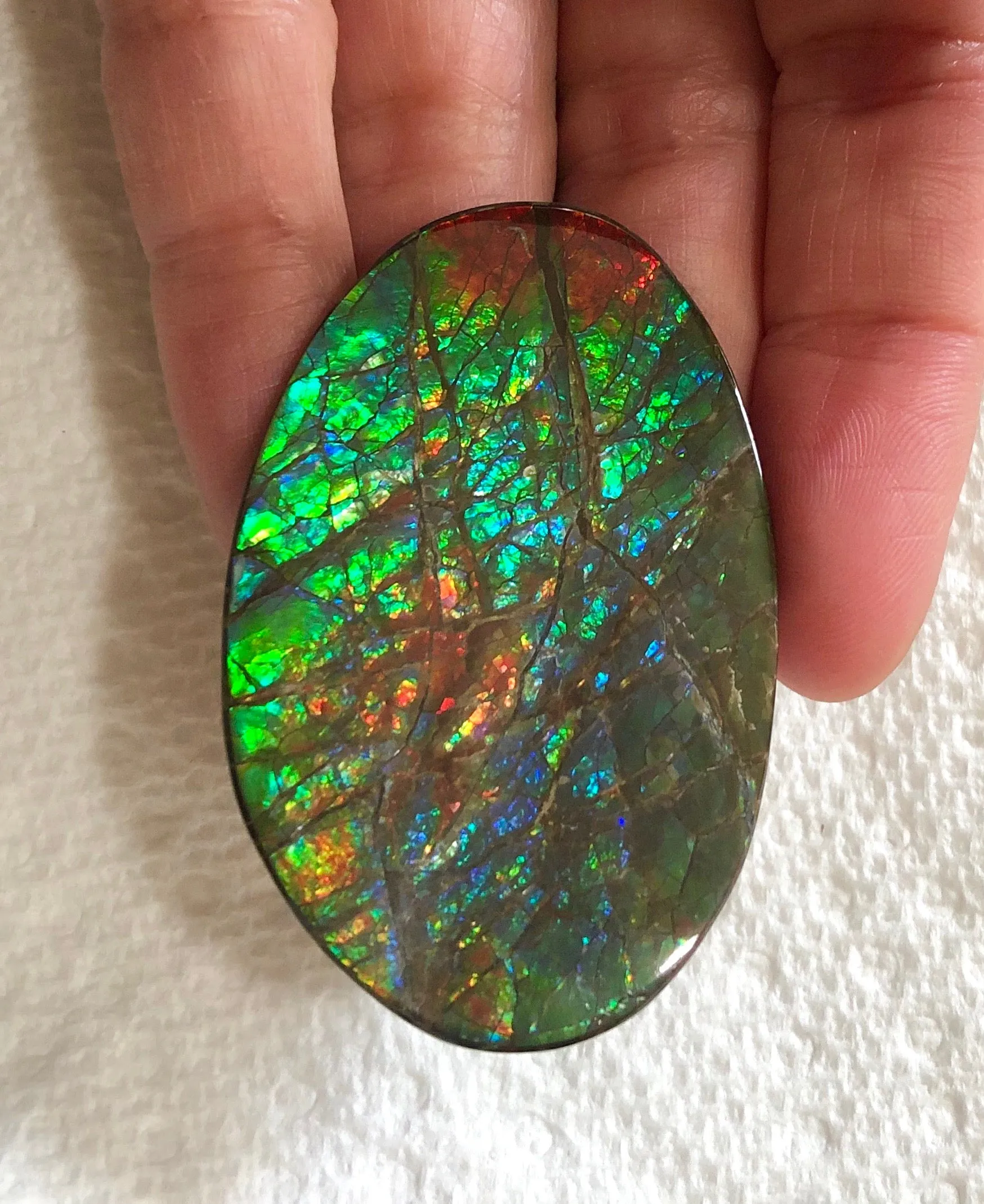 Large 51 x 34  mm  - IMP-65 Natural Ammolite Double-Sided Rainbow Imperial! Free shipping!　両面iインペリアル！レアルース　送料無料アンモライト