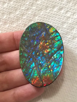 Large 51 x 34  mm  - IMP-65 Natural Ammolite Double-Sided Rainbow Imperial! Free shipping!　両面iインペリアル！レアルース　送料無料アンモライト