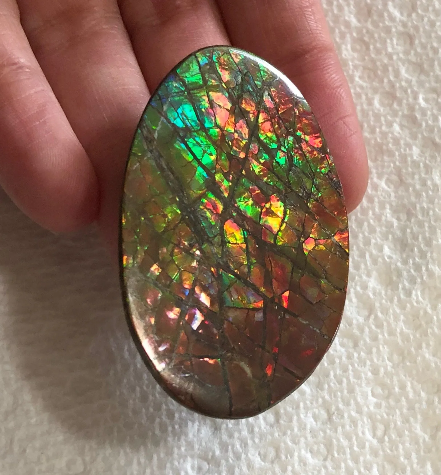 Large 51 x 34  mm  - IMP-65 Natural Ammolite Double-Sided Rainbow Imperial! Free shipping!　両面iインペリアル！レアルース　送料無料アンモライト