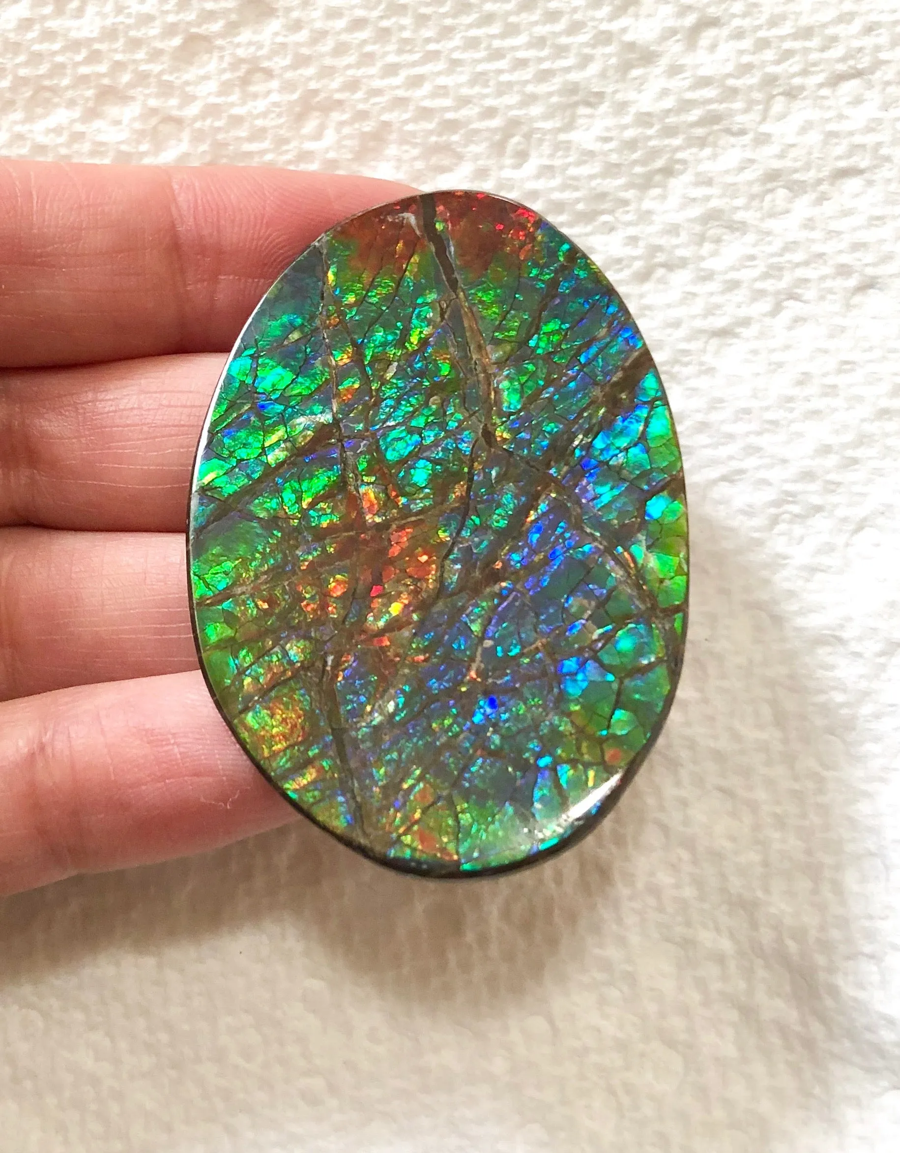 Large 51 x 34  mm  - IMP-65 Natural Ammolite Double-Sided Rainbow Imperial! Free shipping!　両面iインペリアル！レアルース　送料無料アンモライト