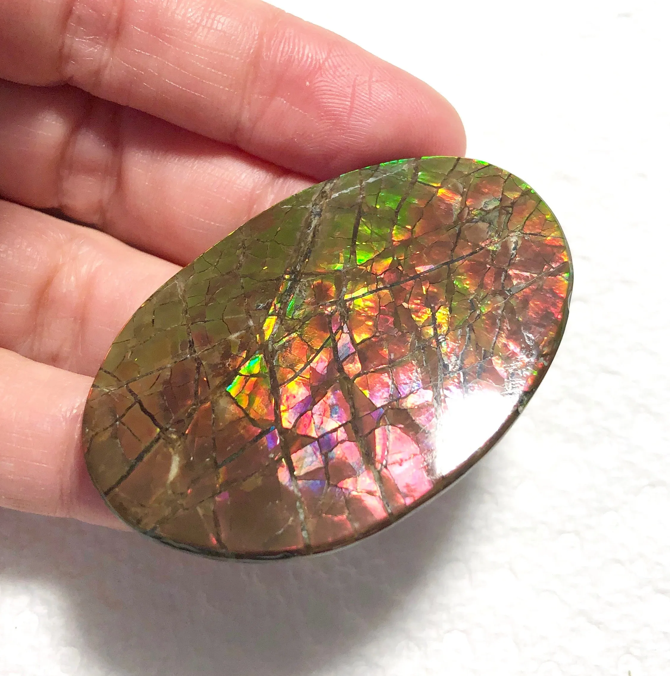 Large 51 x 34  mm  - IMP-65 Natural Ammolite Double-Sided Rainbow Imperial! Free shipping!　両面iインペリアル！レアルース　送料無料アンモライト