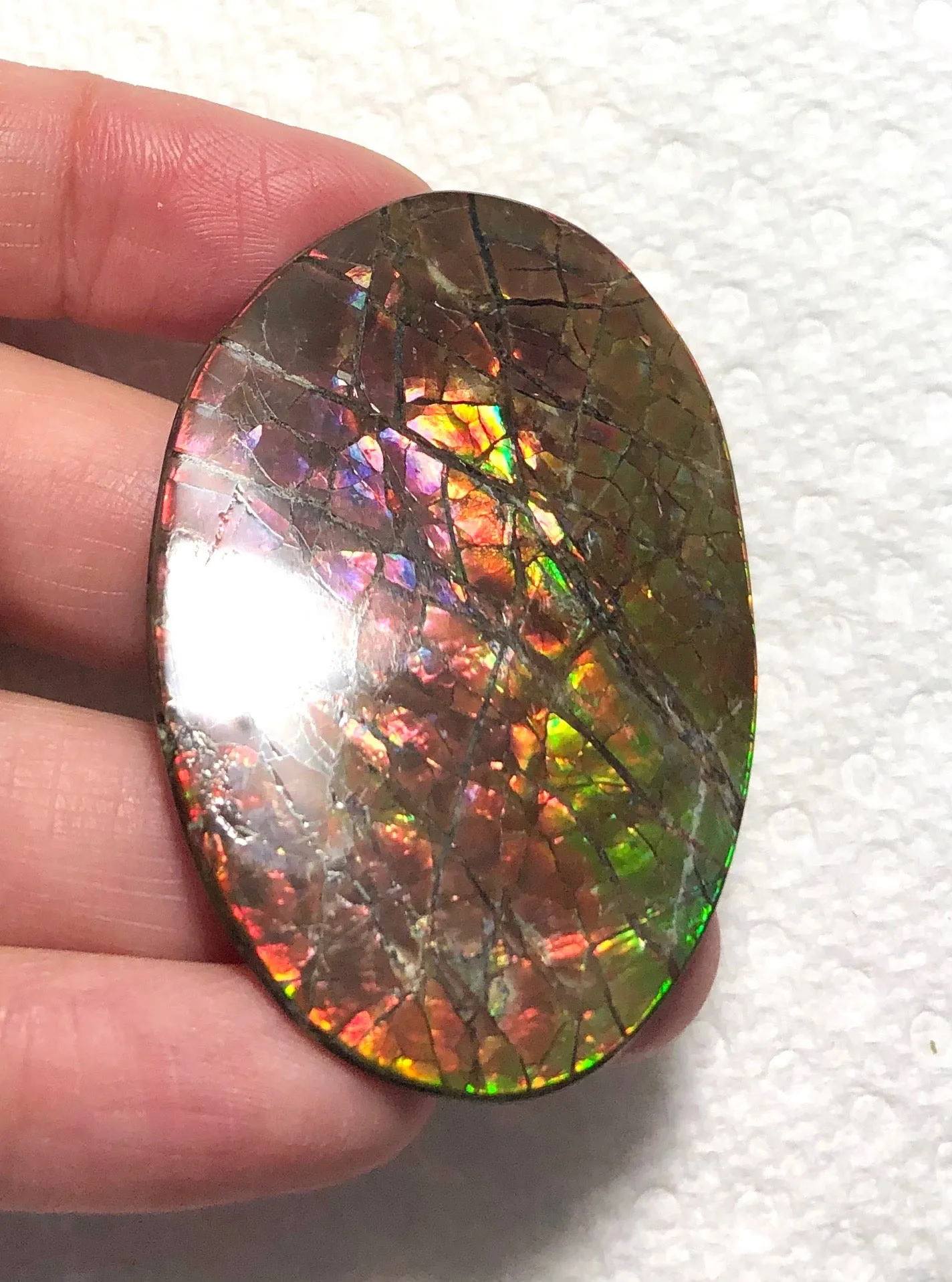 Large 51 x 34  mm  - IMP-65 Natural Ammolite Double-Sided Rainbow Imperial! Free shipping!　両面iインペリアル！レアルース　送料無料アンモライト