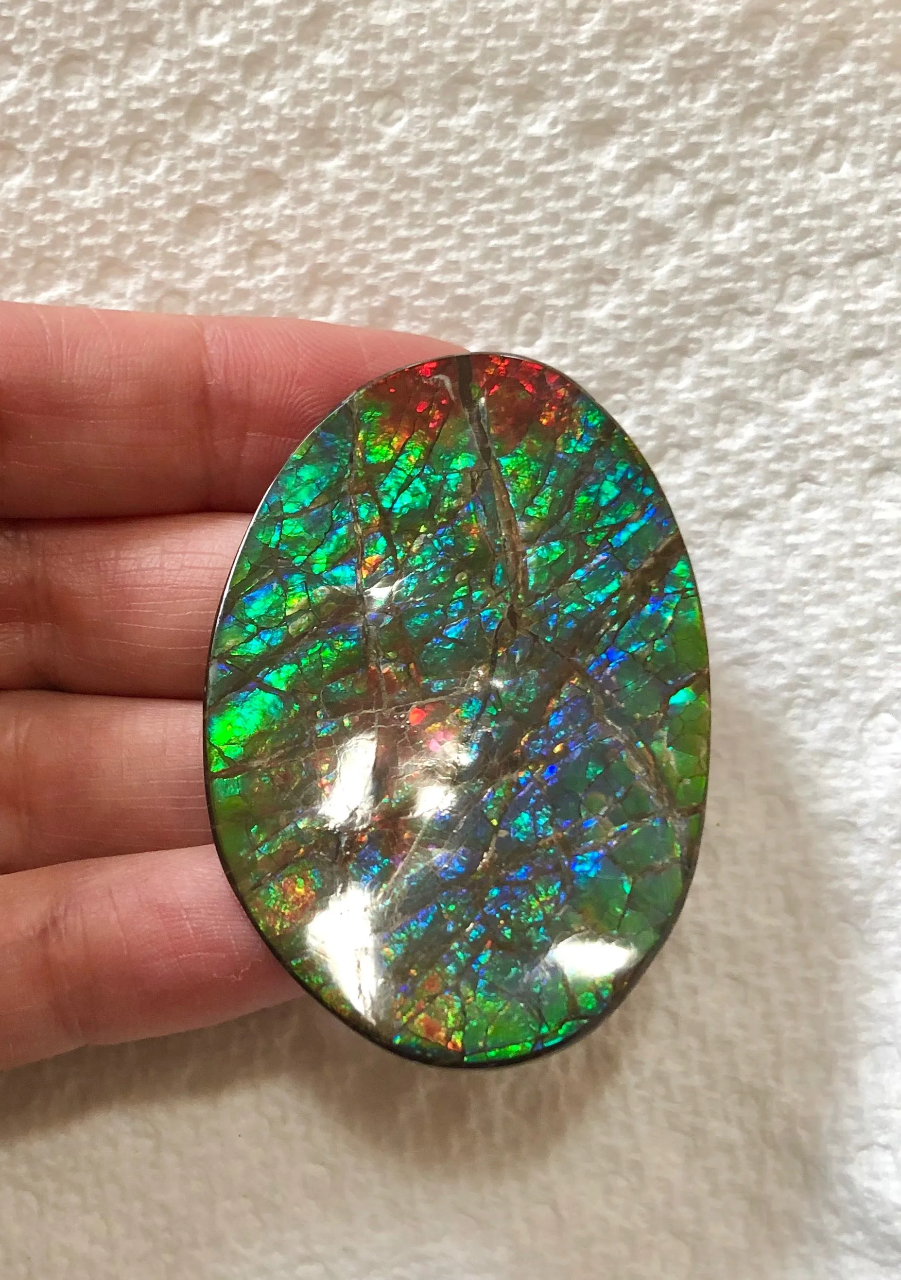 Large 51 x 34  mm  - IMP-65 Natural Ammolite Double-Sided Rainbow Imperial! Free shipping!　両面iインペリアル！レアルース　送料無料アンモライト