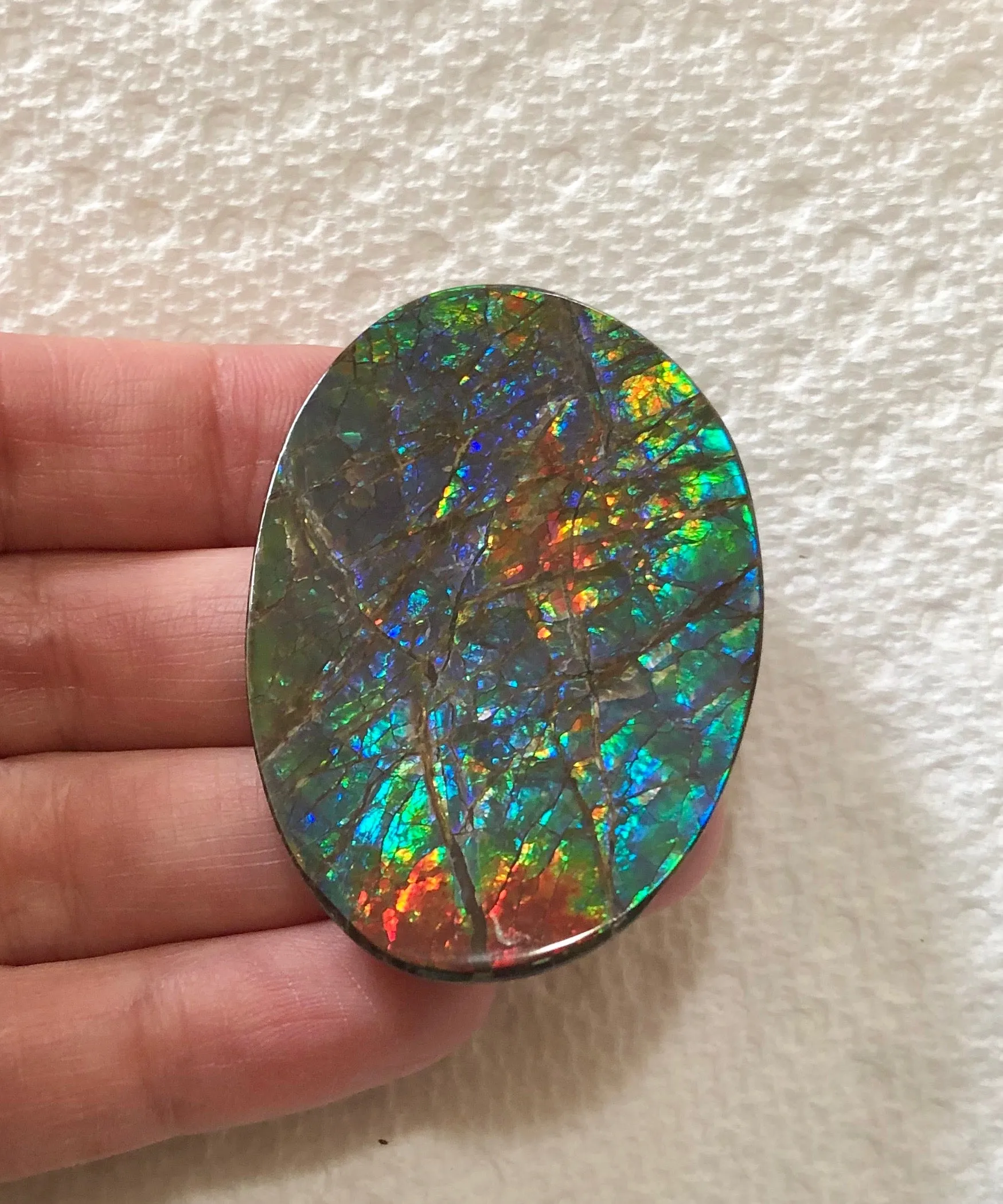 Large 51 x 34  mm  - IMP-65 Natural Ammolite Double-Sided Rainbow Imperial! Free shipping!　両面iインペリアル！レアルース　送料無料アンモライト