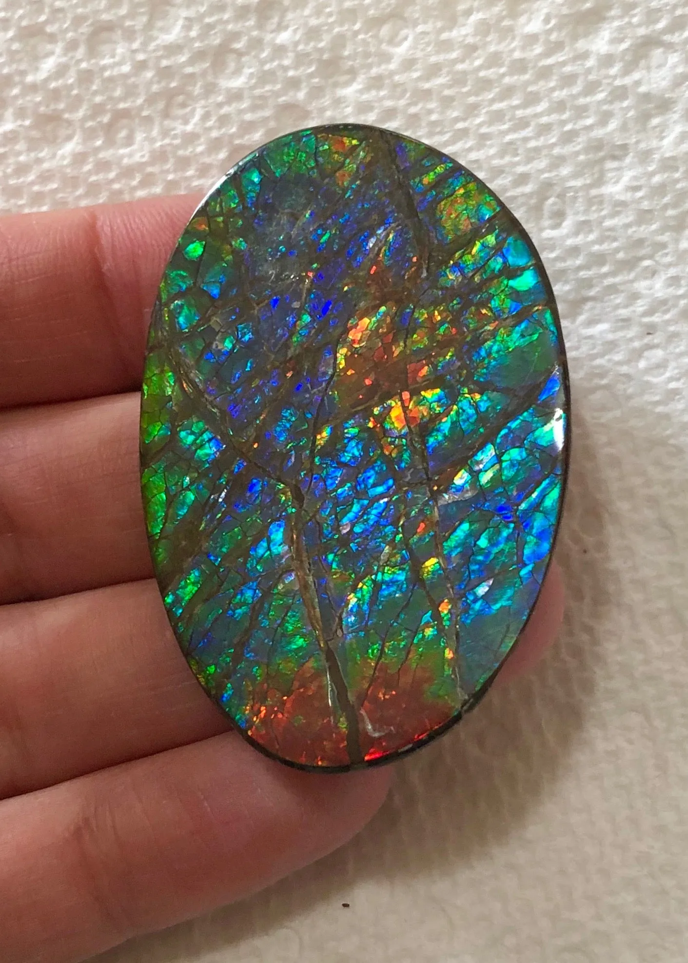 Large 51 x 34  mm  - IMP-65 Natural Ammolite Double-Sided Rainbow Imperial! Free shipping!　両面iインペリアル！レアルース　送料無料アンモライト