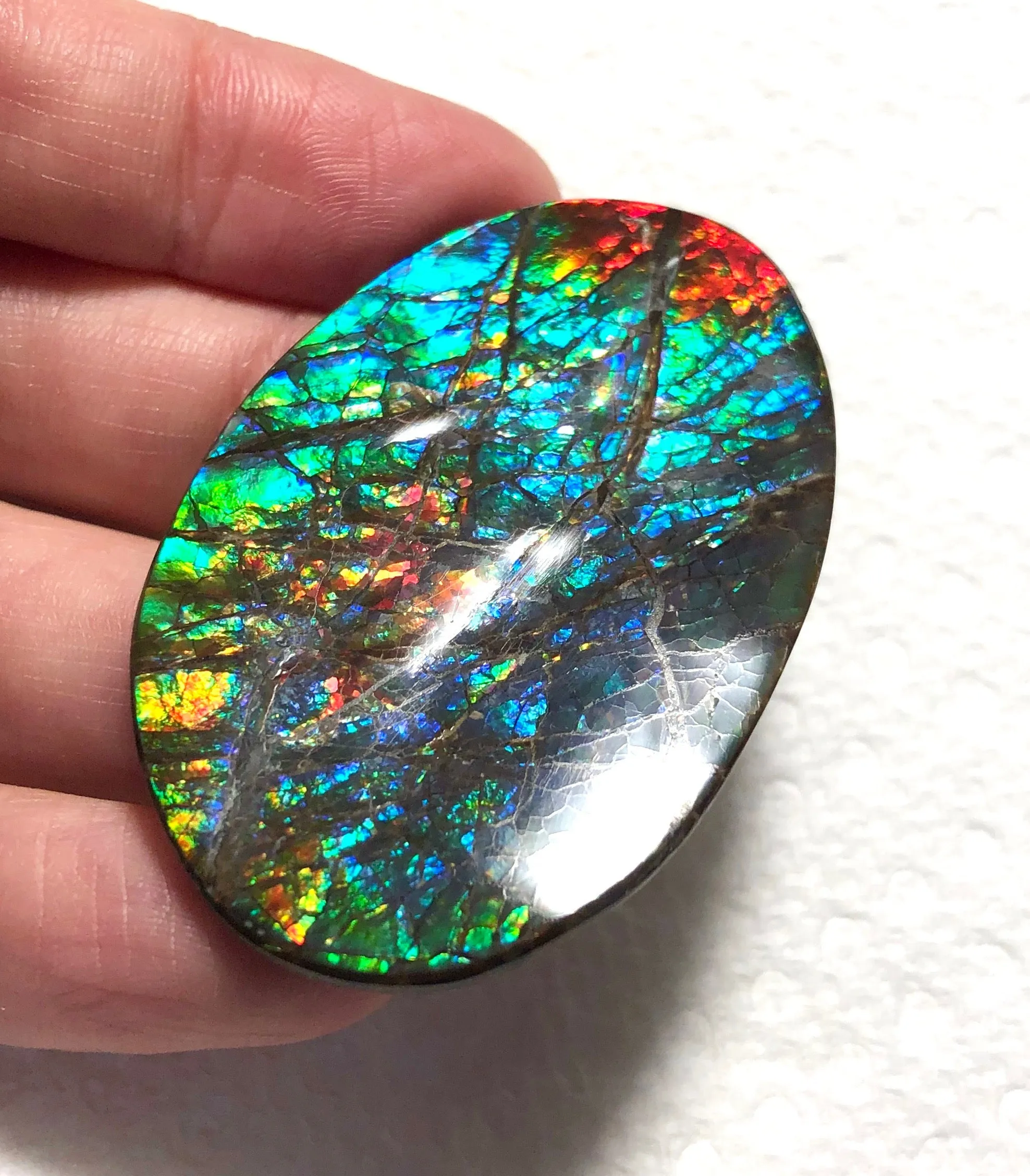 Large 51 x 34  mm  - IMP-65 Natural Ammolite Double-Sided Rainbow Imperial! Free shipping!　両面iインペリアル！レアルース　送料無料アンモライト