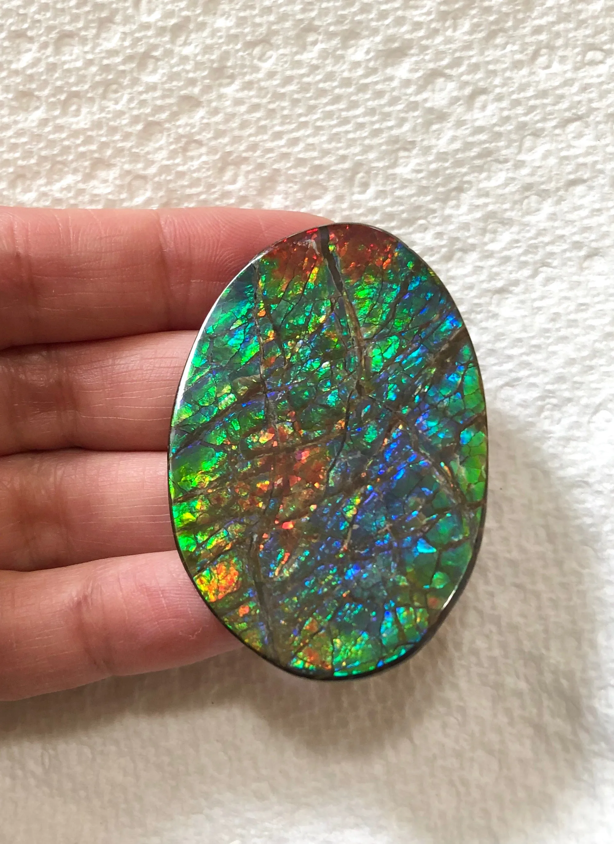 Large 51 x 34  mm  - IMP-65 Natural Ammolite Double-Sided Rainbow Imperial! Free shipping!　両面iインペリアル！レアルース　送料無料アンモライト