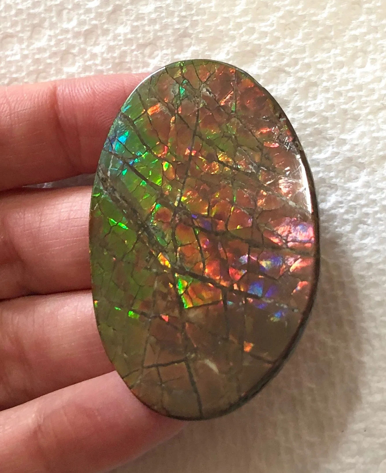 Large 51 x 34  mm  - IMP-65 Natural Ammolite Double-Sided Rainbow Imperial! Free shipping!　両面iインペリアル！レアルース　送料無料アンモライト