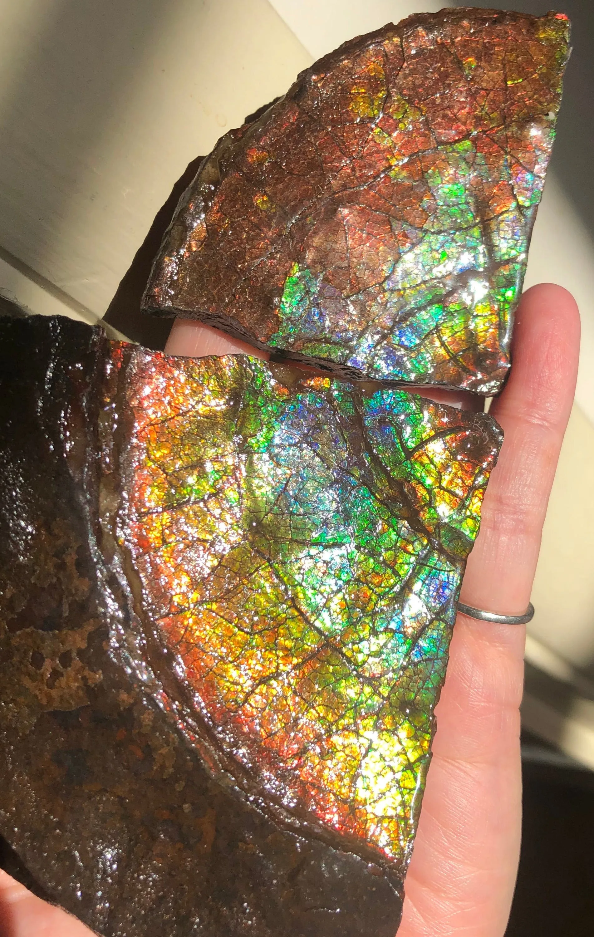Make an offer!! or buy it now!  RARE Intercalare! CS-227  Stunning Ammolite Intercalare with stunning Matrix, Collector Stones Home Décor ***アンモライト Free shipping