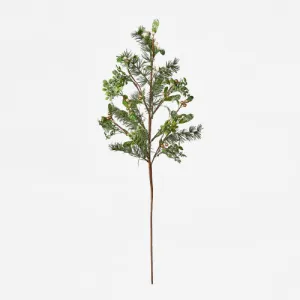 Mistletoe Branch