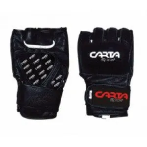 Mixed Martial Arts Mitt