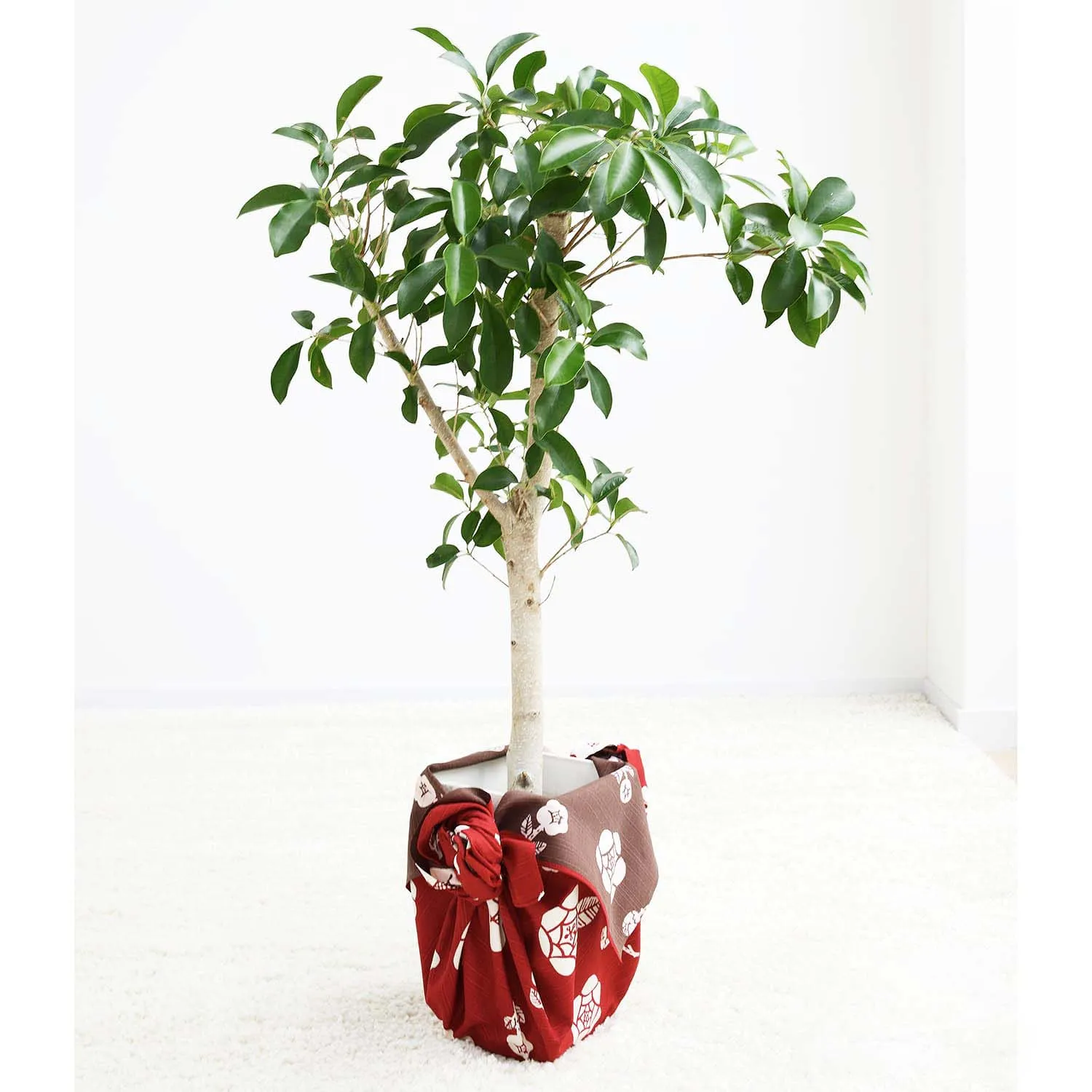 Omotenashi -  Double-Sided Dyeing Bara (Rose) Red/Brown 薔薇 （ばら）／深緋（こきひ） - Furoshiki (Japanese Wrapping Cloth)