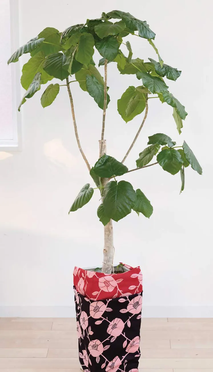 Omotenashi -  Double-Sided Dyeing Grape Purple葡萄 （ぶどう）／葡萄色（ぶどういろ） - Furoshiki 105 x 105 cm (Japanese Wrapping Cloth)