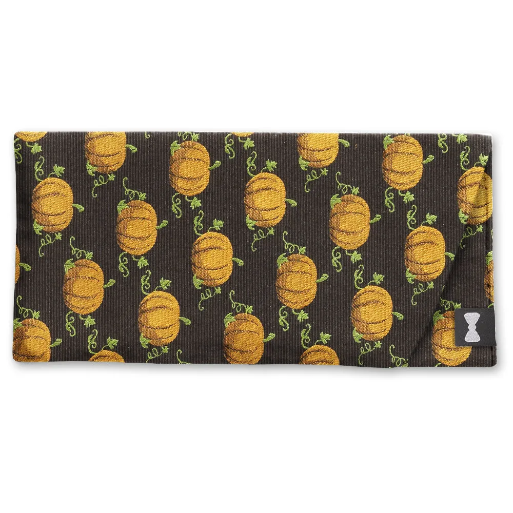 Pumpkintown - Eyeglass Cases